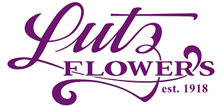 lutzflowerhaus.com